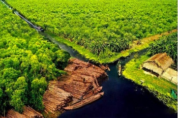 Chợ tràm U Minh Hạ
