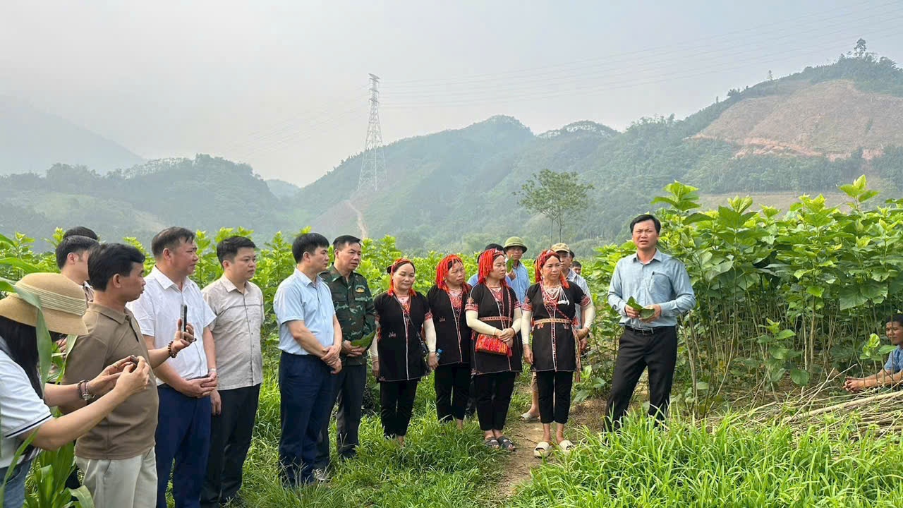 HTX Nấm Tam Đảo đồng hành cùng nông dân: Không chờ "được mùa mất giá"