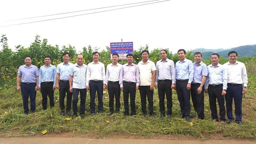 HTX Nấm Tam Đảo đồng hành cùng nông dân: Không chờ HTX Nấm Tam Đảo đồng hành cùng nông dân: Không chờ