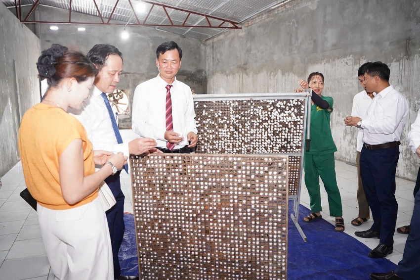 HTX Nấm Tam Đảo đồng hành cùng nông dân: Không chờ HTX Nấm Tam Đảo đồng hành cùng nông dân: Không chờ