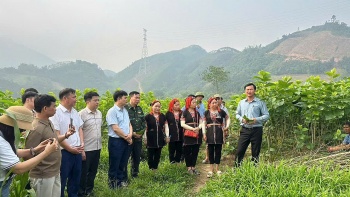 HTX Nấm Tam Đảo đồng hành cùng nông dân: Không chờ "được mùa mất giá"