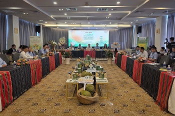 Lễ hội Sầu riêng Đắk Lắk 2026: Cơ hội quảng bá tiềm năng, khẳng định lợi thế địa phương