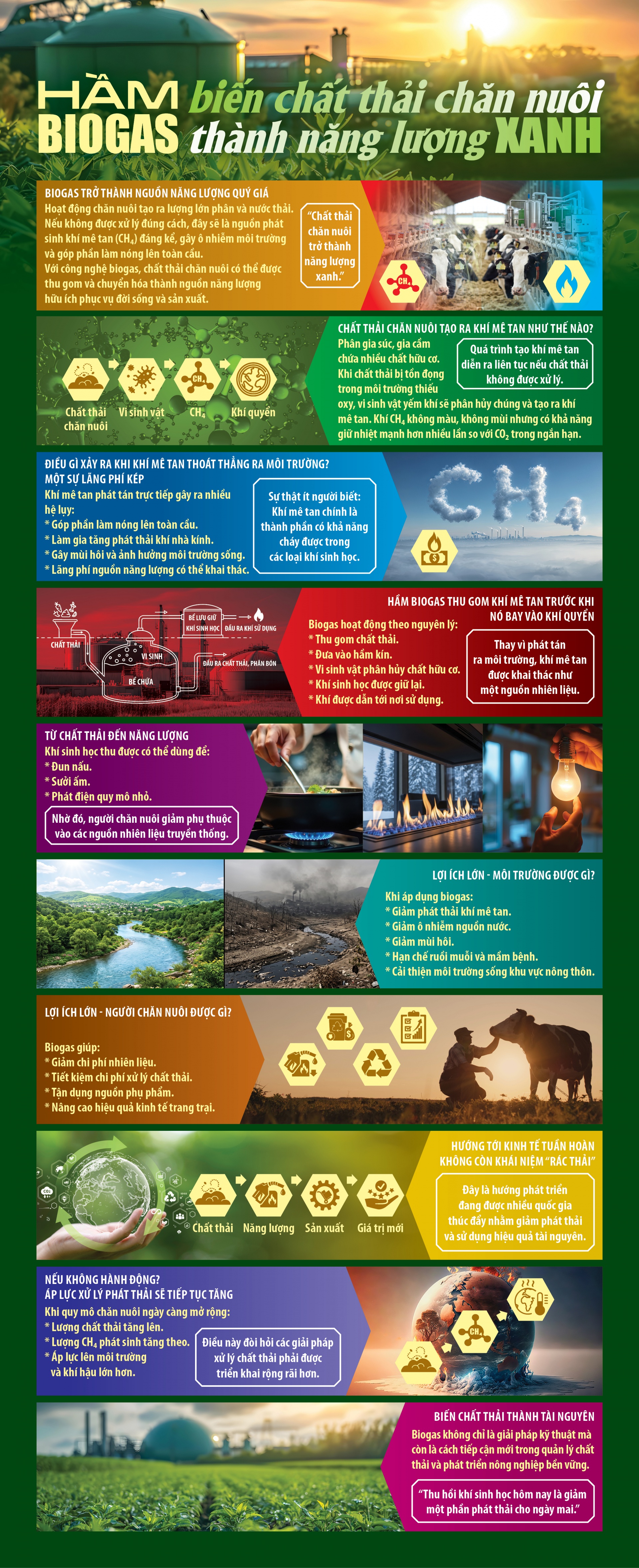 Hầm biogas - biến chất thải chăn nuôi thành năng lượng xanh