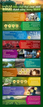 Hầm biogas - biến chất thải chăn nuôi thành năng lượng xanh