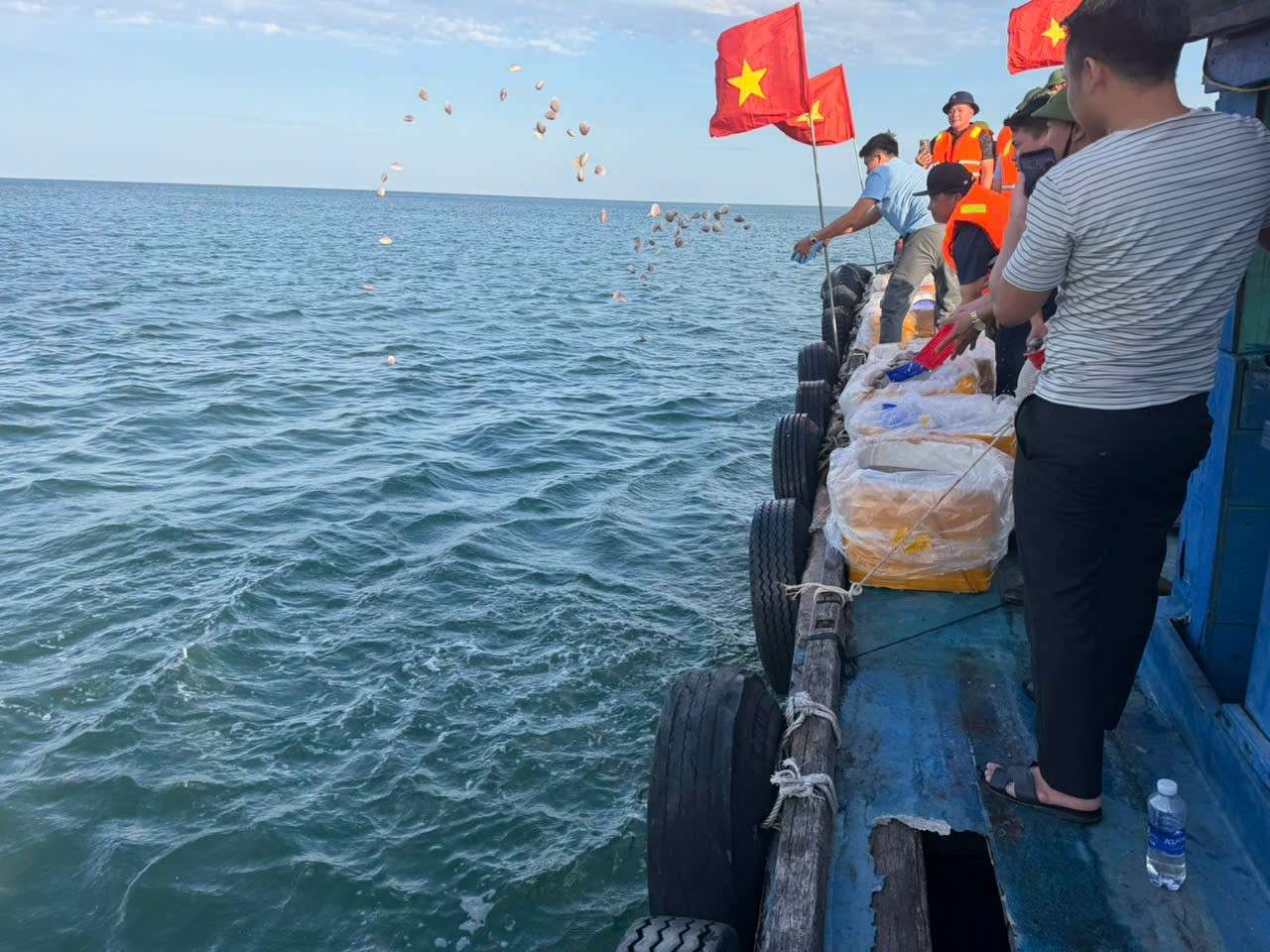 Quảng Trị: Thả ngao tím phục hồi hệ sinh thái và đa dạng sinh học biển Quảng Trị: Thả ngao tím phục hồi hệ sinh thái và đa dạng sinh học biển