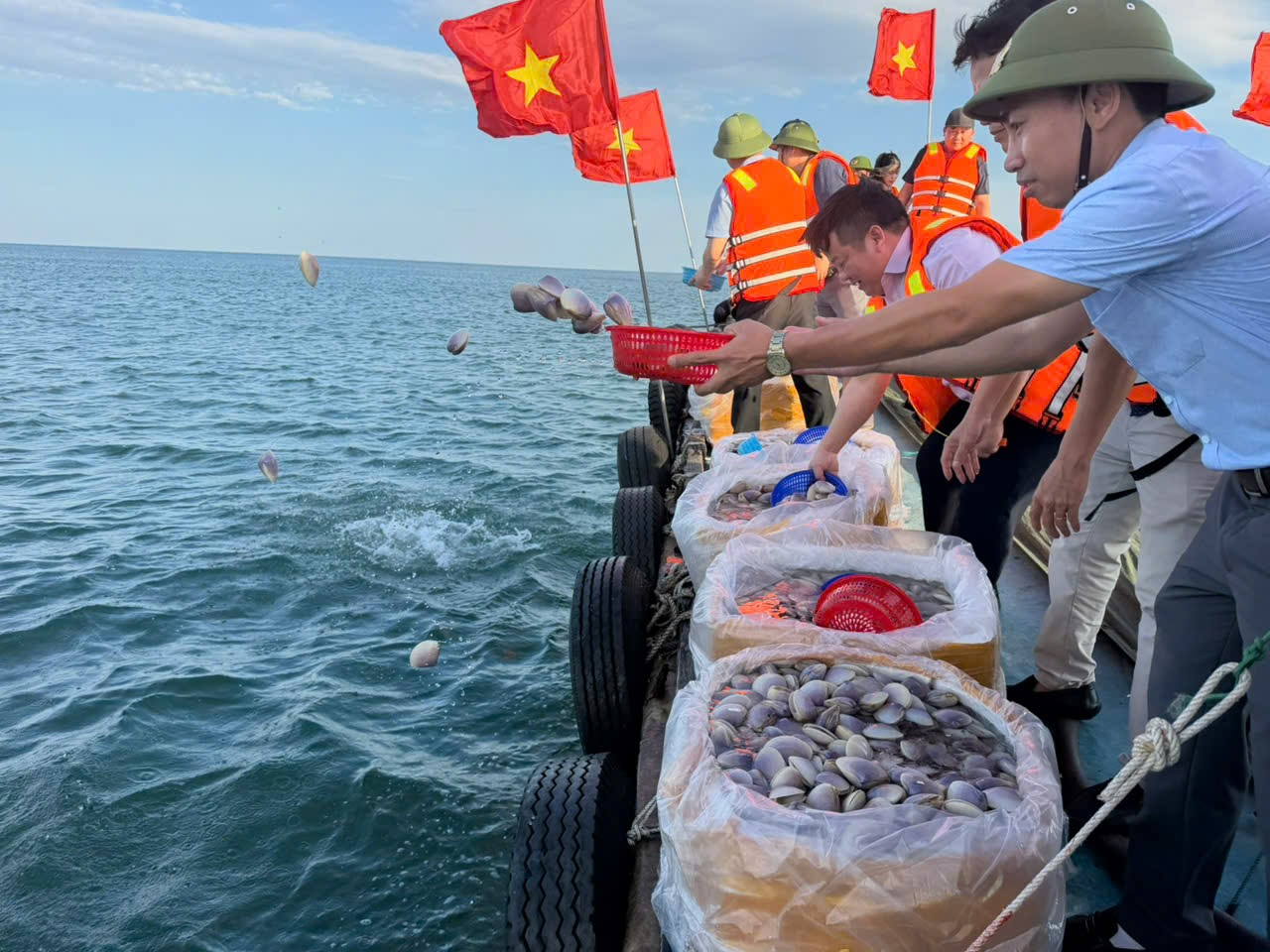 Quảng Trị: Thả ngao tím phục hồi hệ sinh thái và đa dạng sinh học biển Quảng Trị: Thả ngao tím phục hồi hệ sinh thái và đa dạng sinh học biển