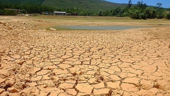 Đề phòng El Nino duy trì cường độ mạnh đến rất mạnh với xác suất 100%