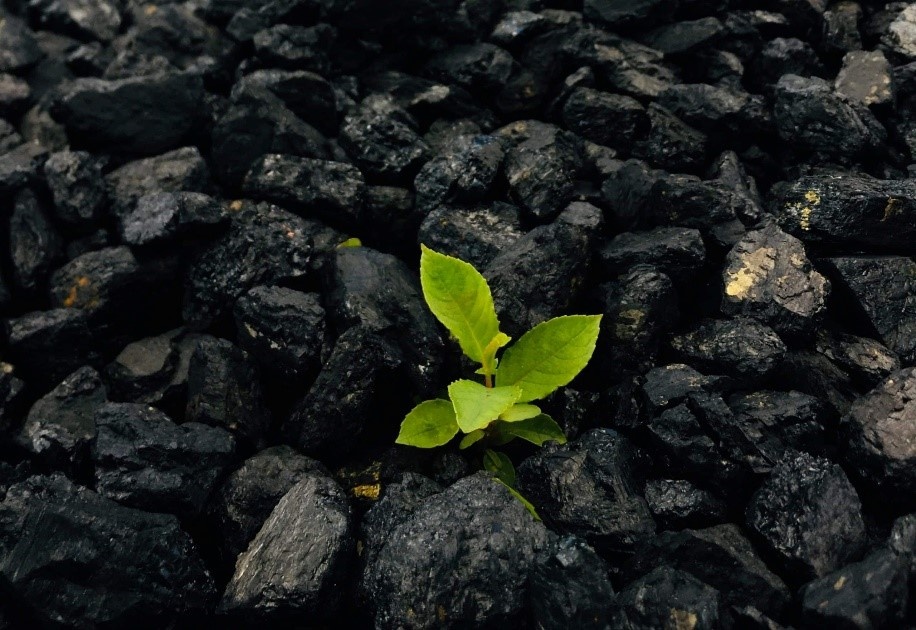 Than sinh học (Biochar) trong chăn nuôi: "Một mũi tên trúng nhiều đích" giúp giảm phát thải khí nhà kính