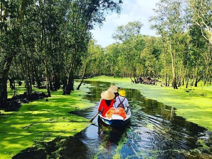 Đồng bằng sông Cửu Long được biết đến là vùng đất ngập nước lớn nhất cả nước với nhiều hệ sinh thái đặc trưng. Nguồn ảnh: wikipedia Đồng bằng sông Cửu Long được biết đến là vùng đất ngập nước lớn nhất cả nước với nhiều hệ sinh thái đặc trưng. Nguồn ảnh: wikipedia