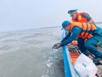 Cà Mau: Thả cá thể vích về biển
