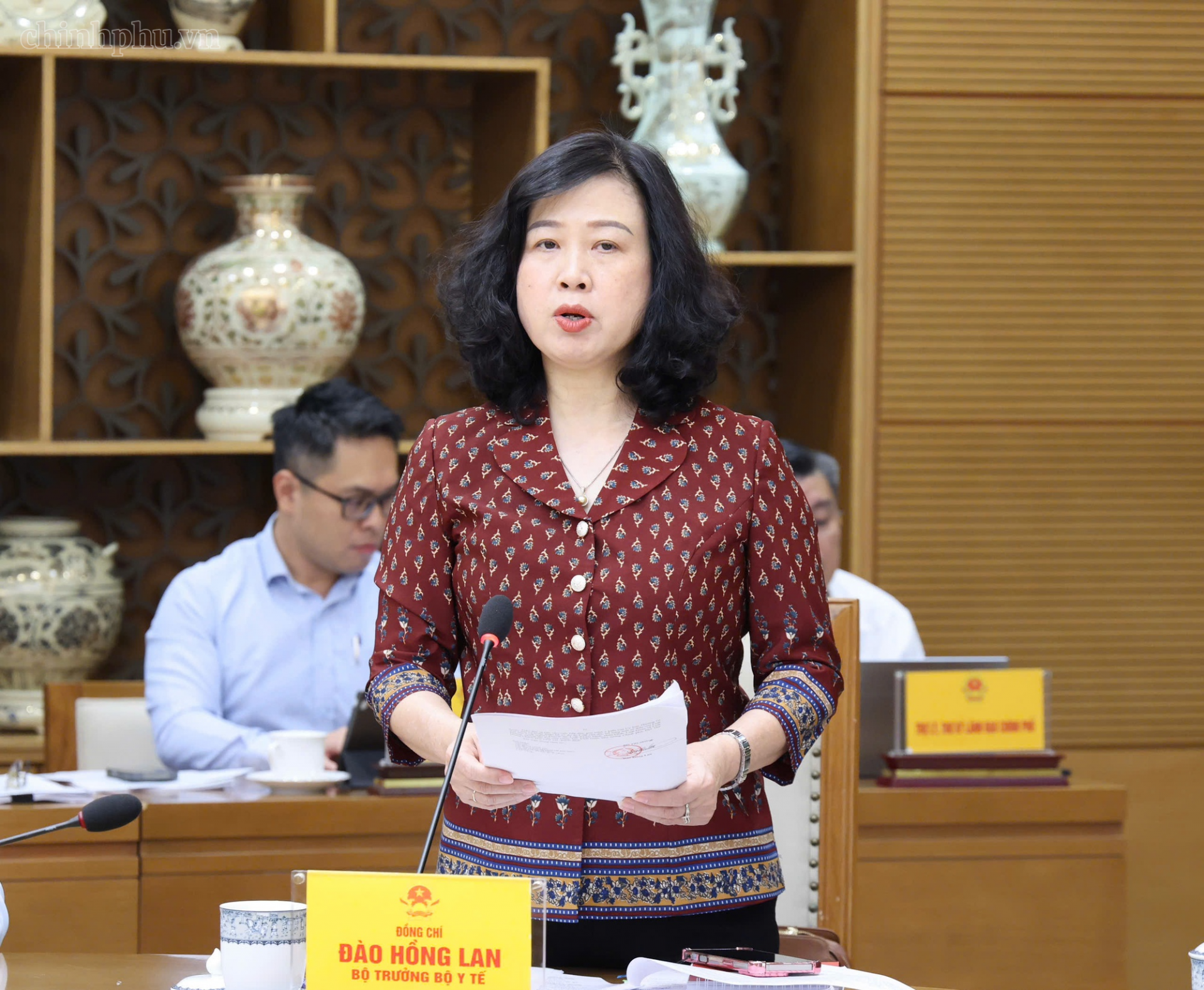   Bộ trưởng Bộ Y tế Đào Hồng Lan báo cáo tại cuộc họp - Ảnh: chinhphu.vn