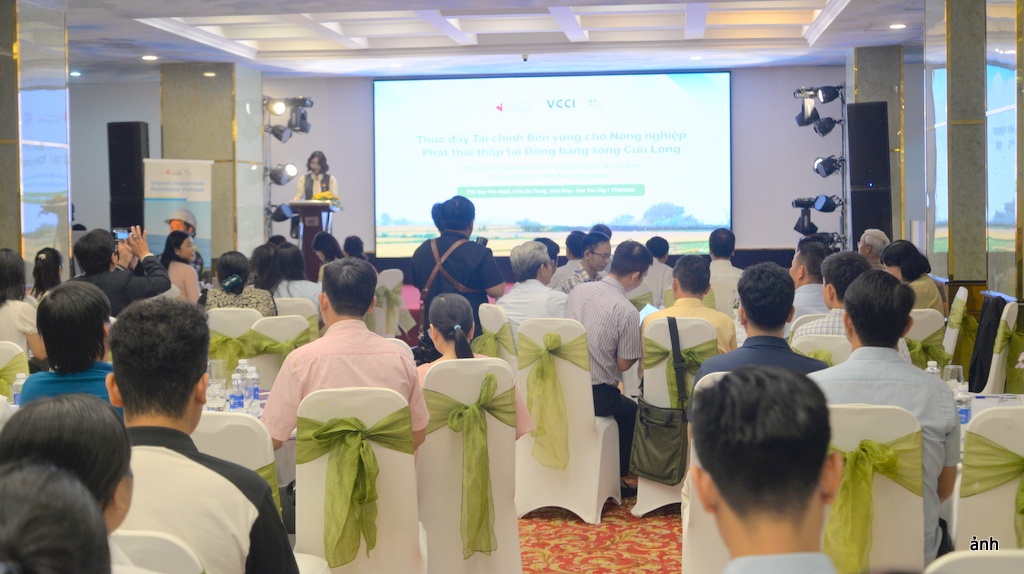 Tăng khả năng tiếp cận tài chính cho nông nghiệp xanh ở ĐBSCL Tăng khả năng tiếp cận tài chính cho nông nghiệp xanh ở ĐBSCL