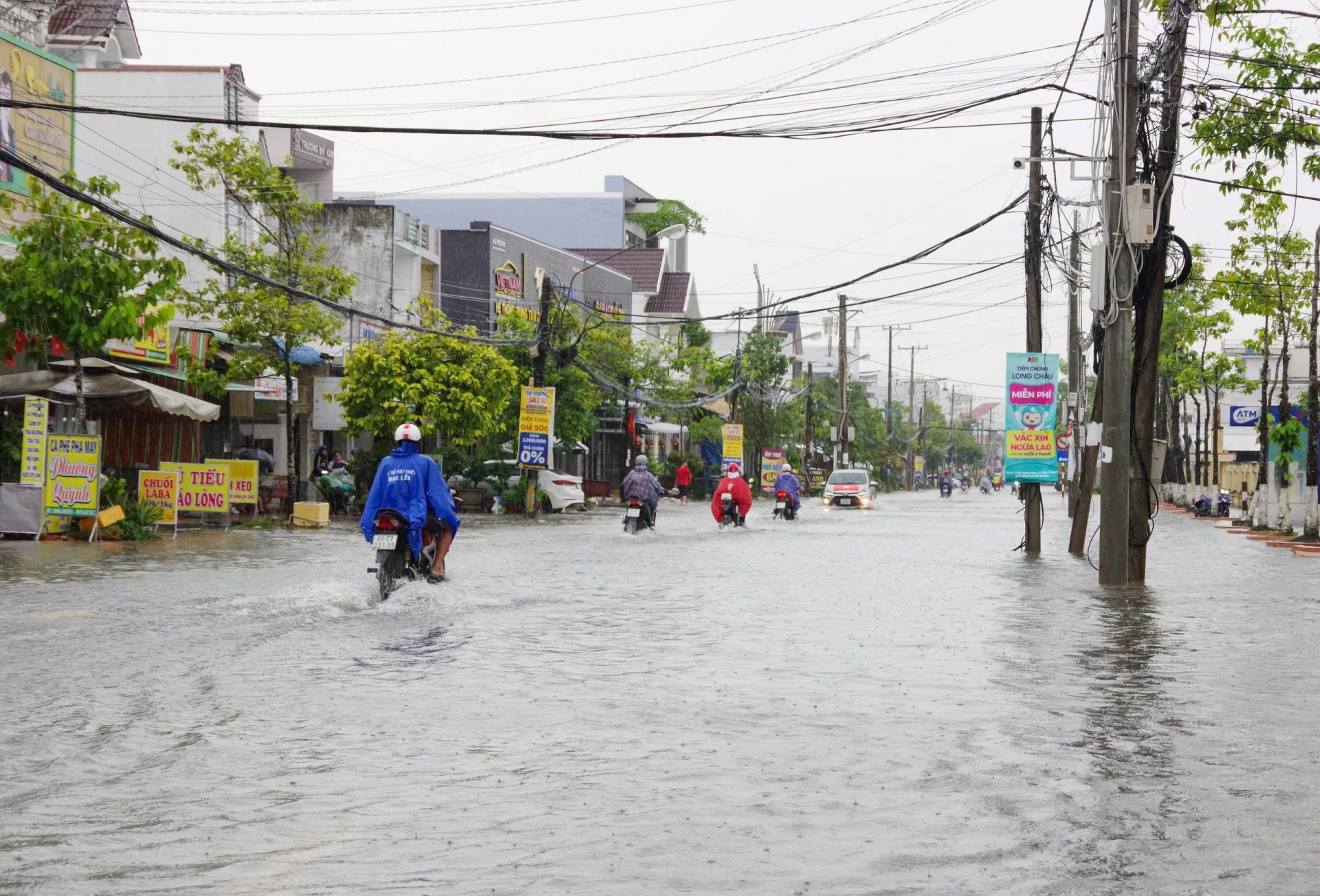 Cà Mau: Mưa lớn kết hợp triều cường gây ngập cục bộ ảnh hưởng khoảng 24.000 ha lúa