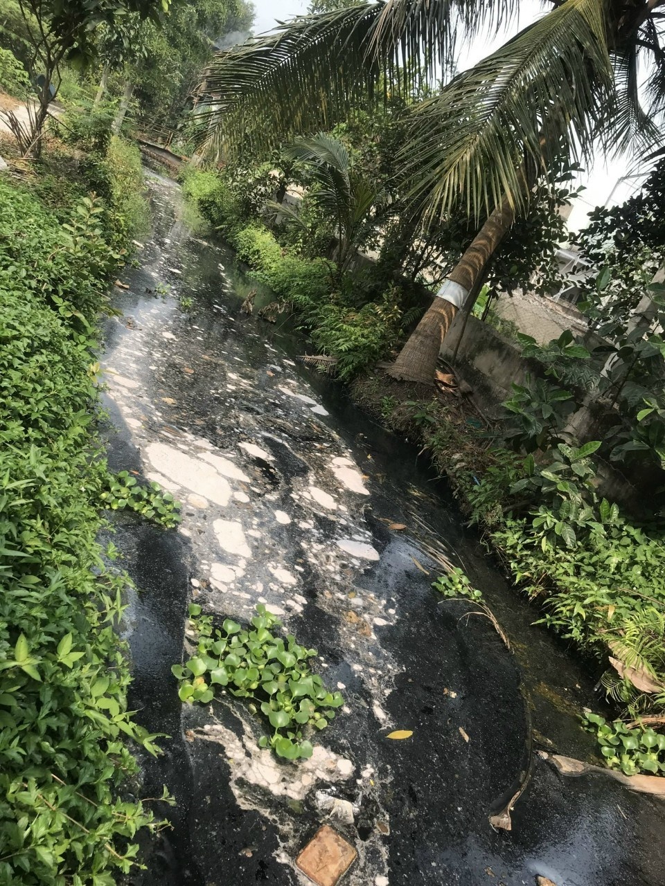   Dòng nước thải đen kịt kèm mùi hôi thối bốc lên gây cảm giác khó thở