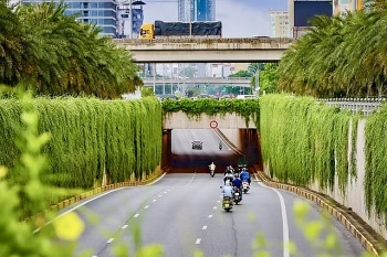 Hà Nội thí điểm phủ xanh trụ cầu, hầm chui để cải thiện môi trường đô thị