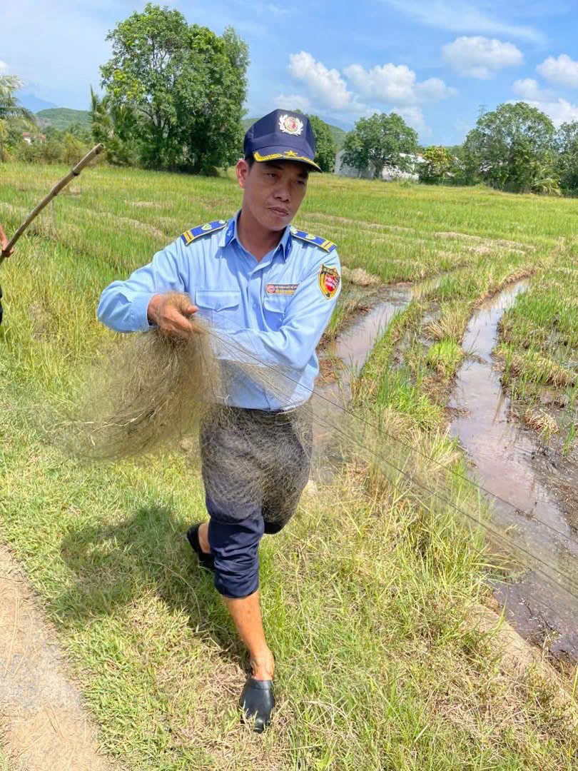 Tăng cường kiểm tra kiên quyết xử lý bẫy bắt chim Yến tại Ninh Hoà