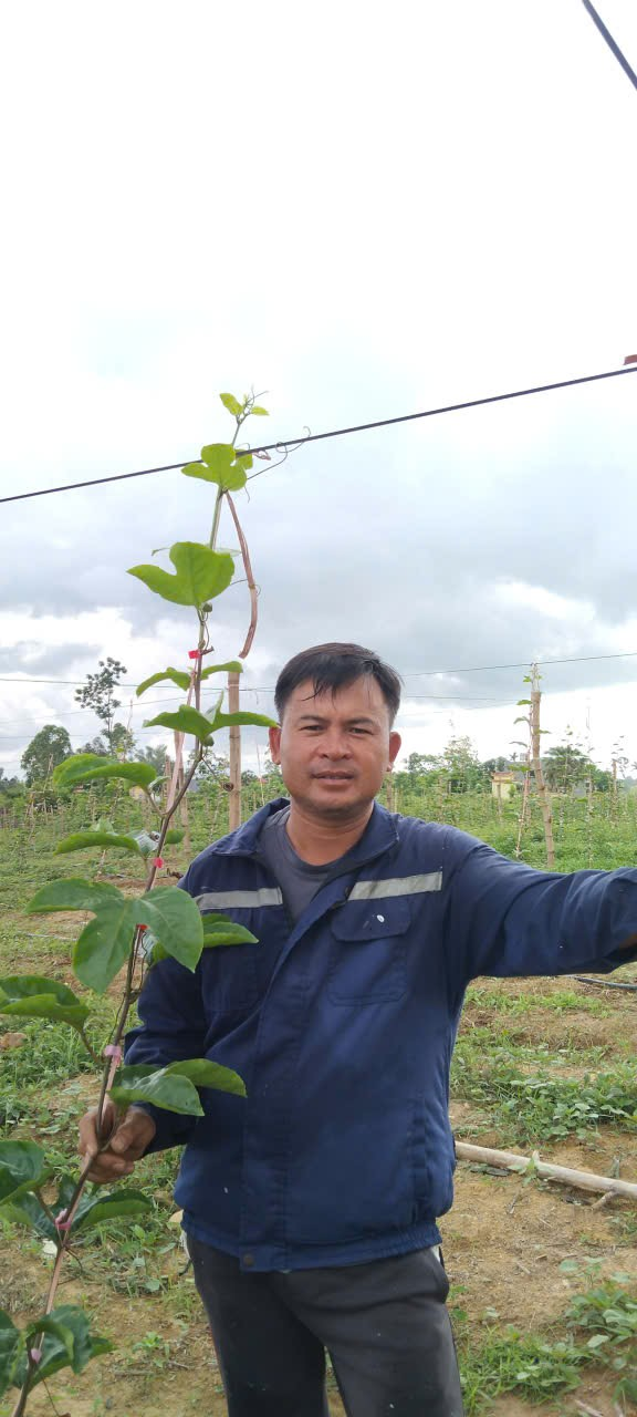 Khi đất cằn Khi đất cằn