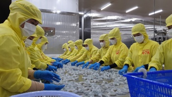 Nâng cao sức cạnh tranh của tôm, lúa nhờ chuyển đổi xanh và kinh tế toàn hoàn