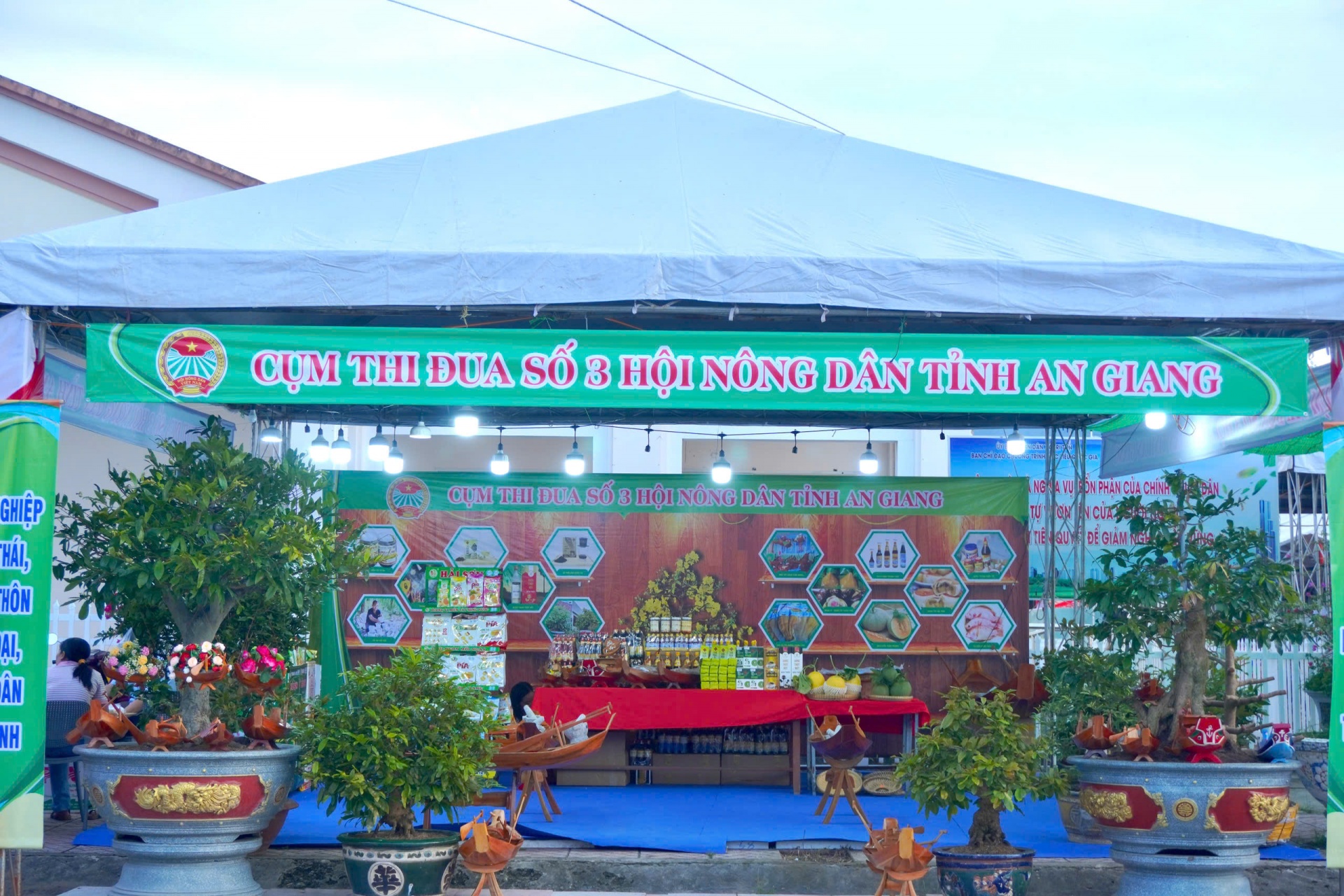 Hội chợ triển lãm thành tựu nông nghiệp và sản phẩm nông thôn tiêu biểu Đồng bằng sông Cửu Long - An Giang lần thứ II năm 2026