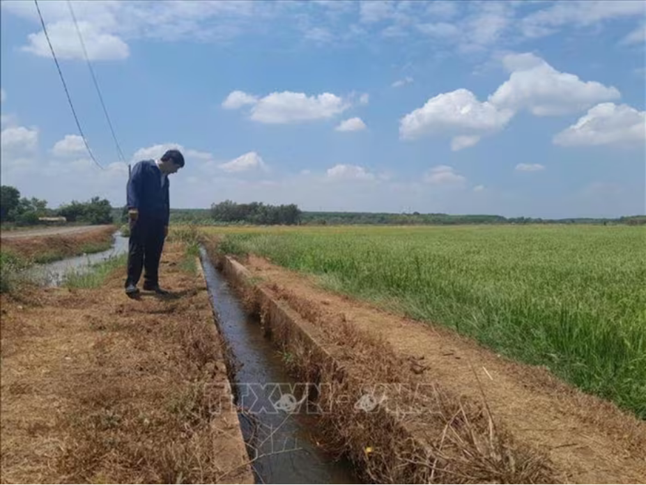 Bón đạm cân đối giúp tăng độ phì cho đất và giảm phát thải