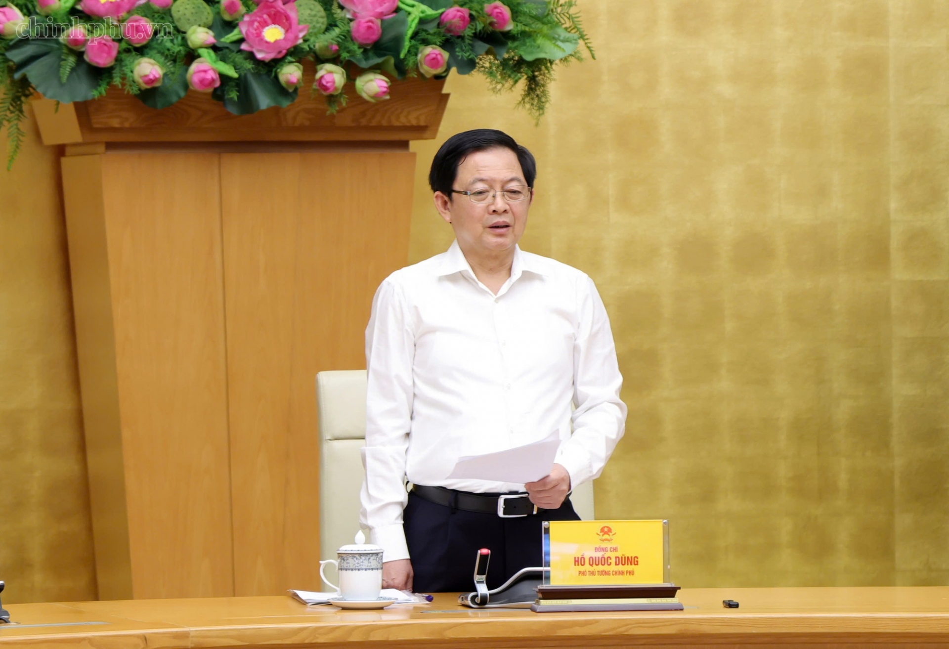   Phó Thủ tướng Hồ Quốc Dũng phát biểu chỉ đạo hội nghị - Ảnh: chinhphu.vn