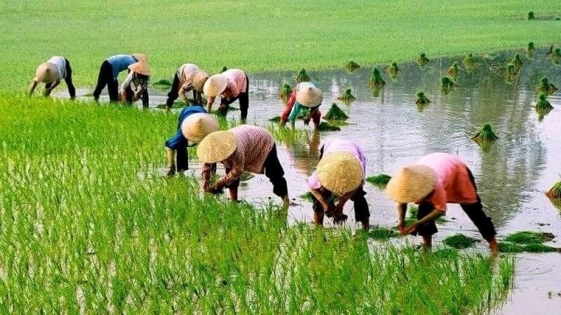 Người lao động trong môi trường ô nhiễm có nguy cơ cao mắc bệnh Người lao động trong môi trường ô nhiễm có nguy cơ cao mắc bệnh