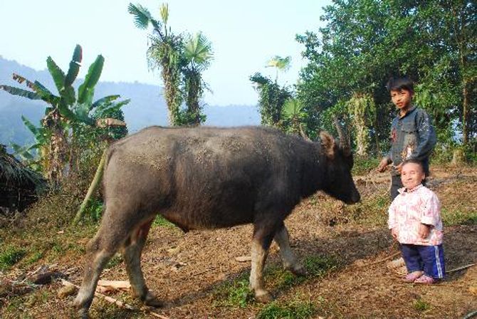 Chuyện lạ về sơn nữ nặng 20 kg ở Việt Nam - Ảnh 1