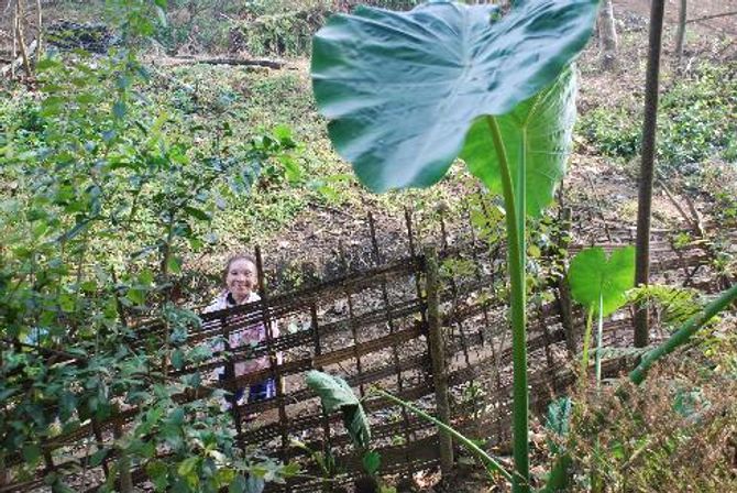 Chuyện lạ về sơn nữ nặng 20 kg ở Việt Nam - Ảnh 4