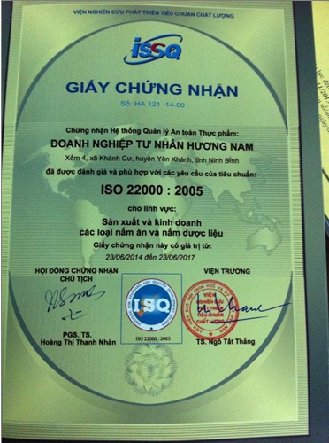 Thực phẩm từ Nấm: Nguồn dinh dưỡng giầu chất protein, vitamin, acid amin