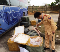 thanh hoa bat giu 520kg thit lon sua khong ro nguon goc