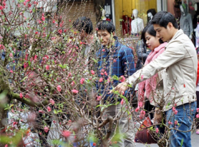 bac bo co mua troi ret nam bo nang am trong nhung ngay giap tet