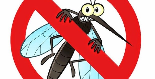 Giảm 69,8% số ca sốt rét tại Khánh Hòa