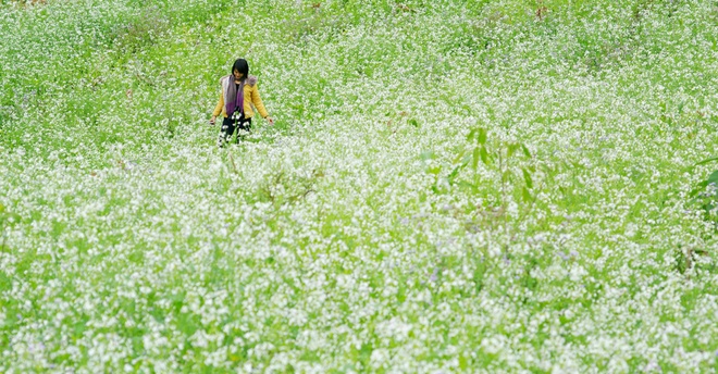Ba điểm đến Tây Bắc nhất định phải tới trước Tết nguyên đán này