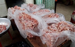 thanh hoa tieu huy 100 kg chan ga khong ro nguon goc