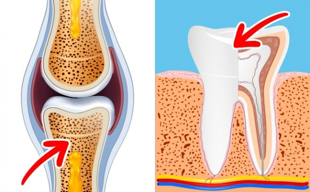 9 lợi ích tuyệt vời cho sức khỏe của bạn từ việc ăn 2 quả trứng gà mỗi ngày