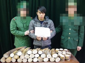 bat giu doi tuong van chuyen 51kg nga voi
