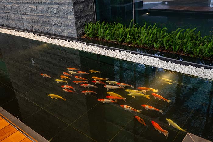 Dấu ấn kinh tế tư nhân nhìn từ sân bay Vân Đồn
