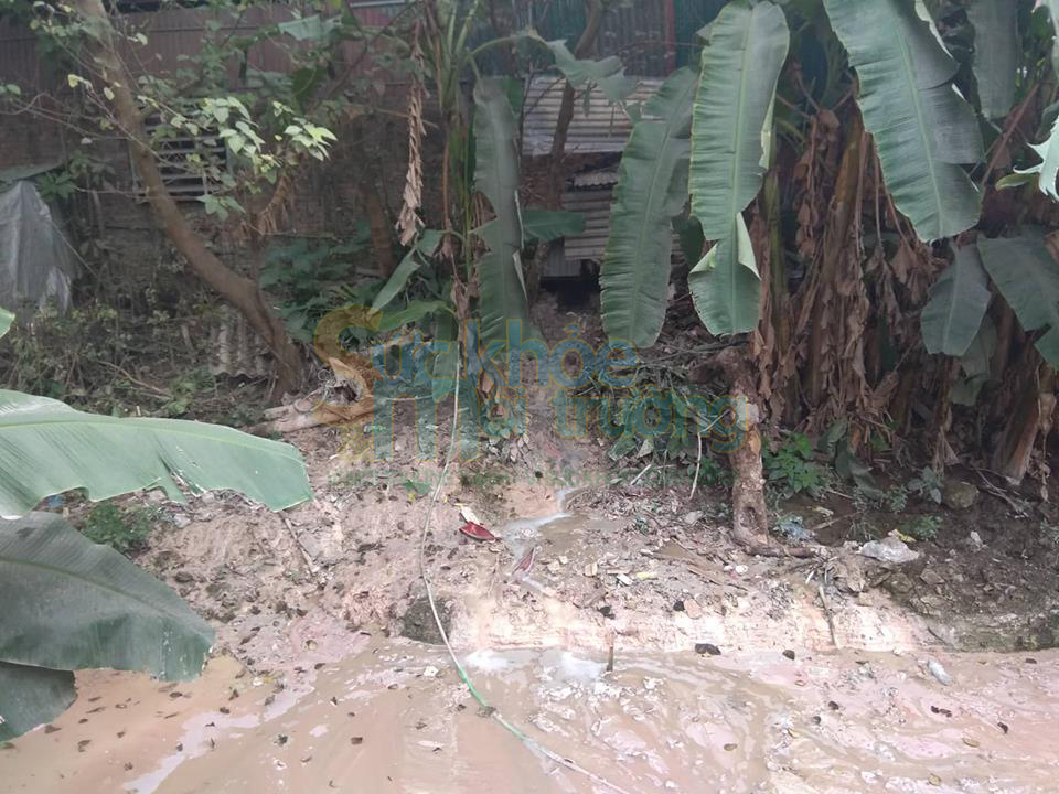 Công ty TNHH bê tông Minh Tâm xả thải gây ô nhiễm môi trường