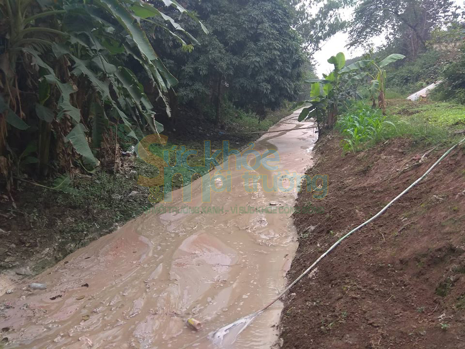 Công ty TNHH bê tông Minh Tâm xả thải gây ô nhiễm môi trường