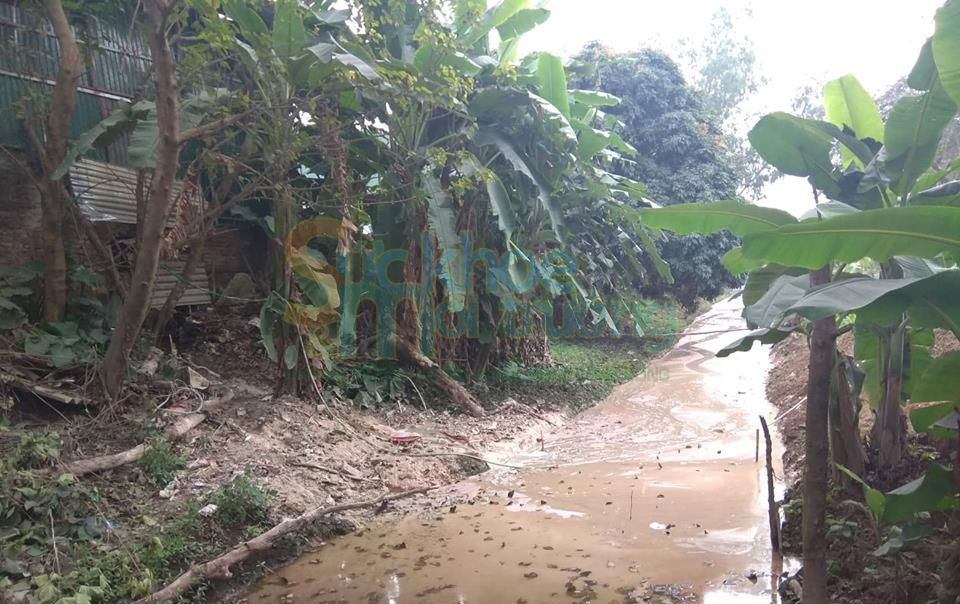 Công ty TNHH bê tông Minh Tâm xả thải gây ô nhiễm môi trường