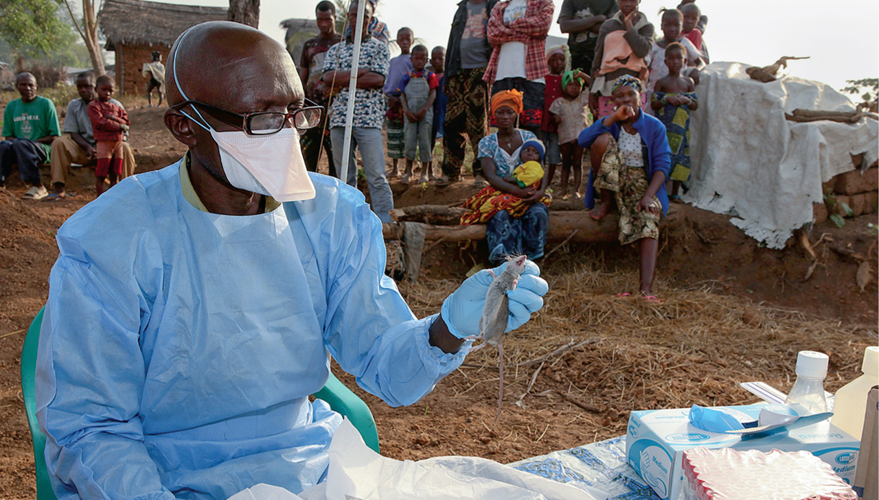 Bùng phát dịch sốt Lassa ở Nigeria, 16 người chết