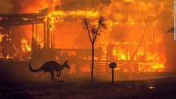 australia dang phai trai qua tham hoa chay rung nghiem trong nhat voi thiet hai vo cung lon