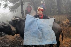 mien bac co noi nhiet do xuong 10oc trong ngay 131
