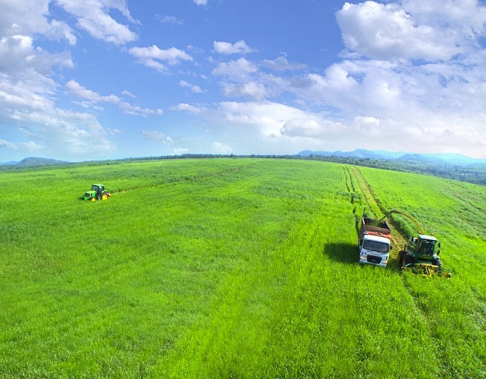 Vững đà tăng trưởng, TH true MILK đón đàn bò sữa cao sản nhập khẩu đầu tiên trong năm 2021