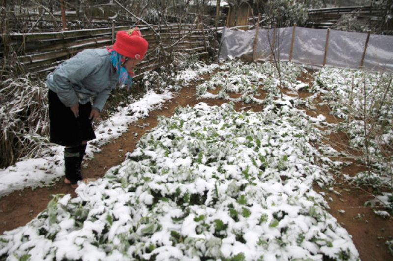 Không chủ quan với rét đậm, rét hại và sạt lở bờ biển