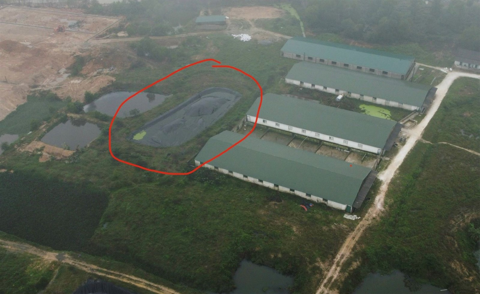 Hà Tĩnh: Trang trại chăn nuôi gần 80 nghìn mét vuông xâm hại môi trường