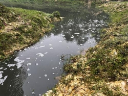 ha tinh trang trai chan nuoi gan 80 nghin met vuong xam hai moi truong
