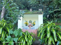 lam dong rung nguyen sinh nguy co bi xam hai