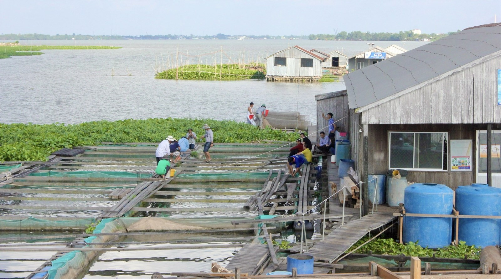 Khám phá tập quán mưu sinh trên sông nước để vơ bớt âu lo…