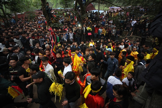 Liều mình cướp hoa tre trong hội Gióng